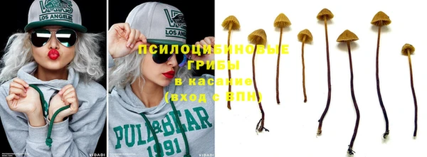 мескалин Богородицк