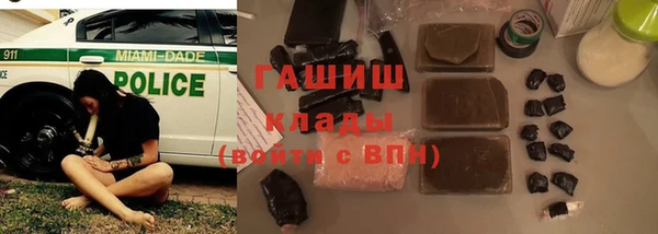 индика Баксан