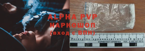 индика Баксан