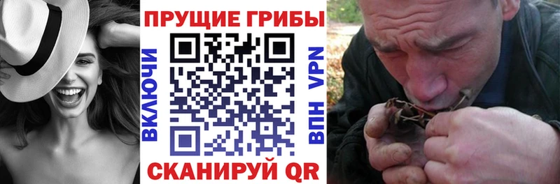 гидра зеркало  Урень  Галлюциногенные грибы Cubensis 